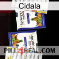 Cidala 12